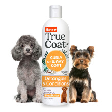 Nuovo! Hartz True Coat riccio o ondulato Specifica di shampoo per cani shampoo e condizioni con olio di cocco di latte d'avena e burro di karit