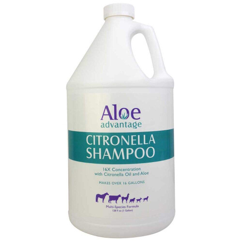 Durvent Aloe Advantage Citronella Shampoo Gallon