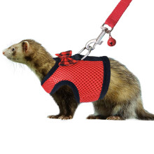 Rypet Animal Postroj a vodtko - Mekk stovan postroj pro domc mazlcky s bezpecnm zvonkem No Pull Pohodln polstrovan vesta pro mal mazlcky