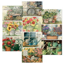 Current Country All Occasion Value Pack - 20 Cards With Envelopes Celebration Get Well Sympathy Birthday Anniversary & Thinking of You Varie