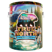 Ultimate Starter Kit - True North VBS 2025 per gruppo