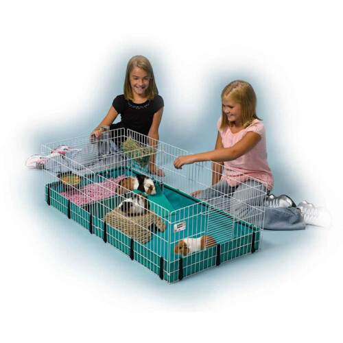 ferret.com Midwest Guinea Habitat 2
