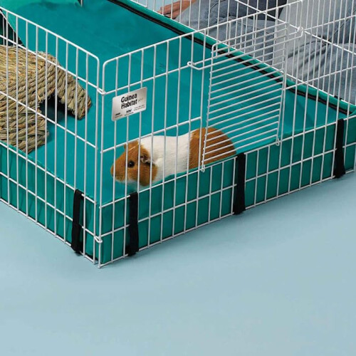 ferret.com Midwest Guinea Habitat 1