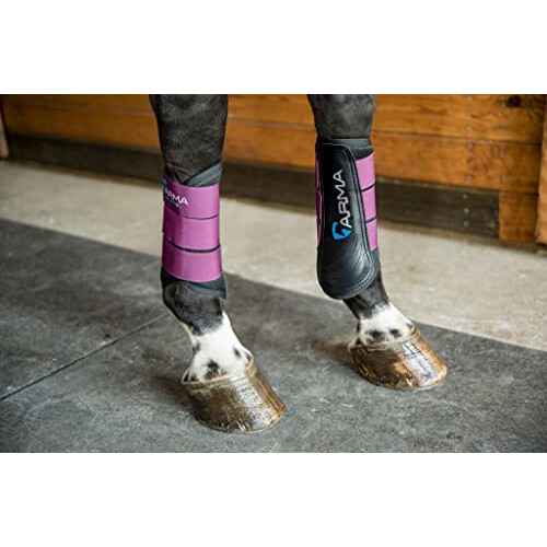 Shires ARMA Air Motion B   rstenstiefel (Plum Full) 1