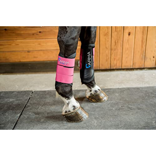 Shires Arma Air Motion Boots Boots (Raspberry Pony) 1