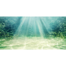 AWERT 72x18 tommer Akvarium Baggrund Vandplante Boble Undervands Havbund Aquarium Baggrund