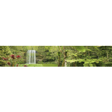 Background di habitat di rettili; Foglie rosse a cascata della foresta pluviale per avvolgimento a 3 lati 20L