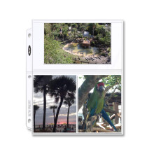 BCW Pro 3-Pocket Page 50 (fnfzig Seiten) (4 x 6 Karten, Postkarten oder Fotos) Klar | Surefrei, PVC-frei | Schutz fr Fotoalbumseiten in Archiv