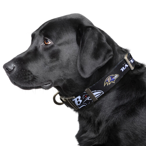 Littlearth Baltimore Ravens NFL Premium Pet Collar 1