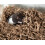 FiberCore Eco-Senget?j Lugtkontrol Pet 3