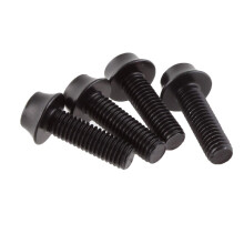 Wolf Tooth Precision Anodized Water Bottle Cage Bolts - 4 st. Svart
