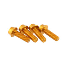 Wolf Tooth Precision Anodized Water Bottle Cage Bolts - 4 st. Guld