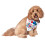 Rubies Rubie's It's My Bark Day Reversible Pet Bandana Small/Medium 1