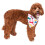 Rubies Rubie's It's My Bark Day Reversible Pet Bandana Small/Medium 2