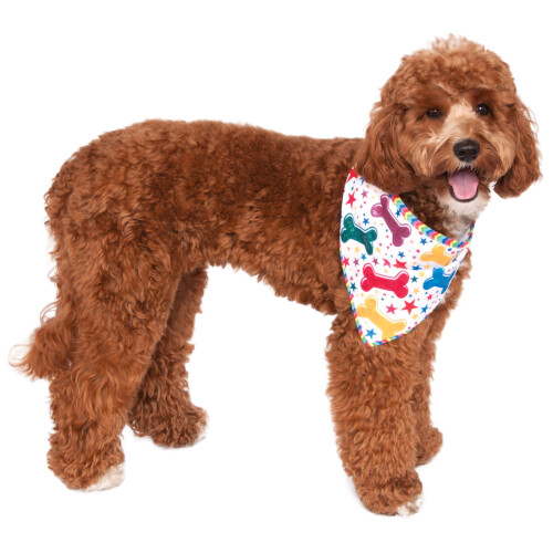 Rubies Rubie's It's My Bark Day Reversible Pet Bandana Small/Medium 1
