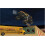 Monster Jam - Xbox 360 (Renewed) 2