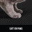 Gorilla Grip Honeycomb Cat Litter Mat 4