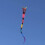 Windnsun Super Size 2D Nylon Kite Long Tail Serpent 305 inch lang 3