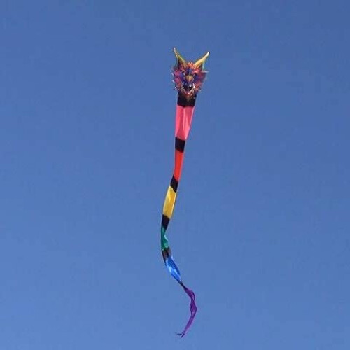 Windnsun Super Size 2D Nylon Kite Long Tail Serpent 305 inch lang 2