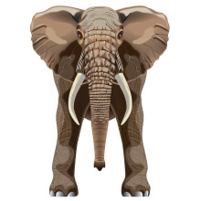 WindNSun Skyzoo Polyester Ripstop Elephant Kite 40 tommer h?j