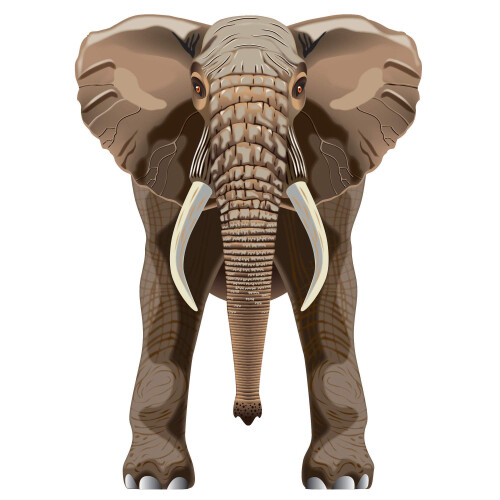 Windnsun skyzoo polyester ripstop olifant vlieger 40 centimeter lang