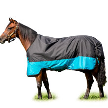 Horseware Irlanda Mio T/o Color lite: negro/turq y negro Tamao: 57 (AAS41-KCTK-57)