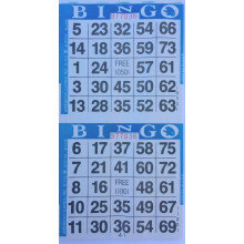 American Games INC 3000 pappersbingokort-2 kort per ark-1500 ark [Vlj frg nedan] (bl)