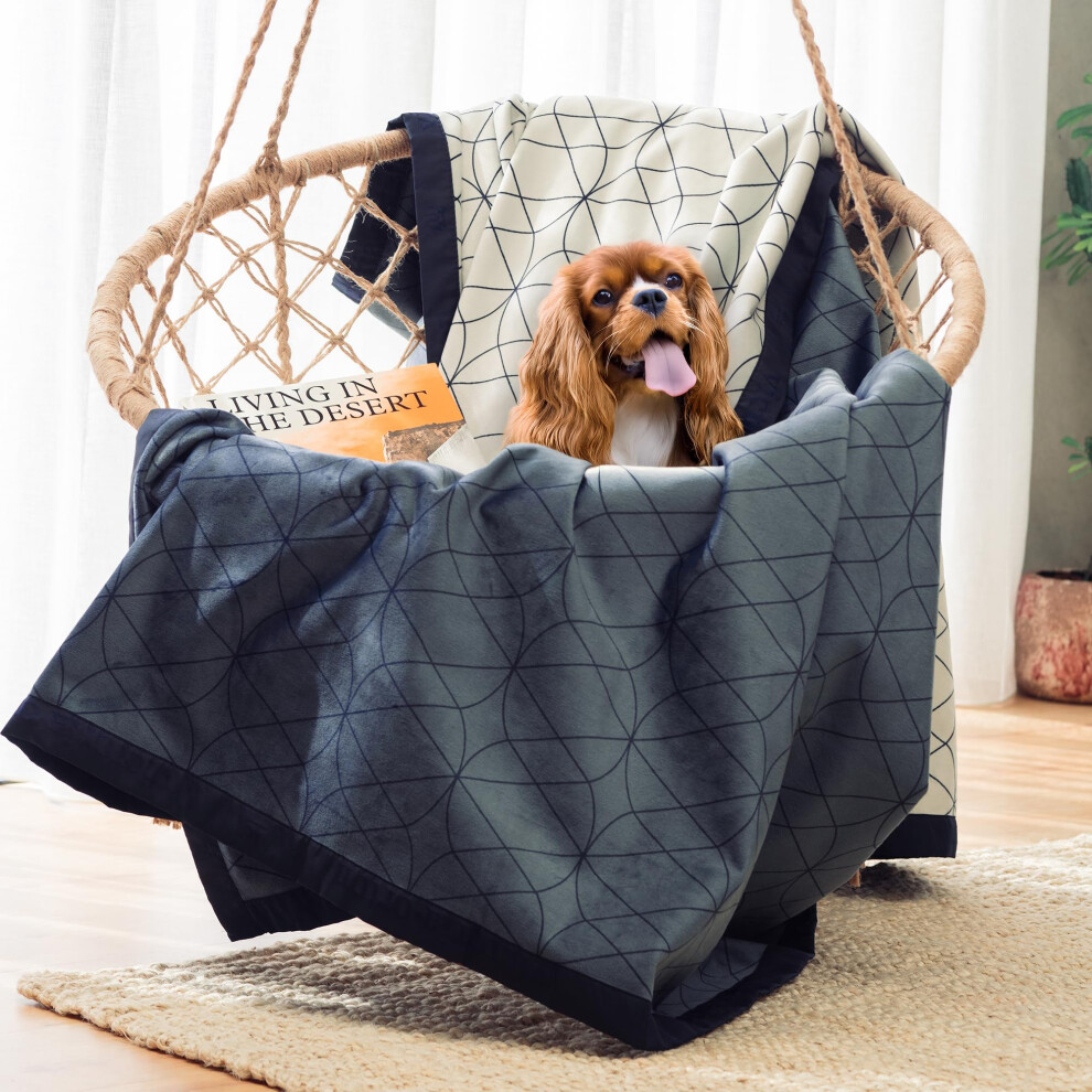 victoria.orton Waterproof Dog Blanket for Bed - 45x60 Inch Throw Size - Pet Hair Resistant Blanket for Small to Large Dogs - Washable  Leakproof  Reve-image-OPC-PHFK79G-NEW