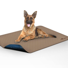 Paw genspireerde wasbare plaspads voor honden | Lekvrije antislip herbruikbare puppypads voor zindelijkheidstraining Whelping Waterdichte mat (4