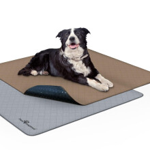 Paw-genspireerde wasbare plaspads voor honden (2-pack) | Lekvrije antislip herbruikbare puppypads voor zindelijkheidstraining, waterdichte mat (