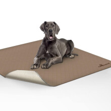 Paw genspireerd wasbaar plas pad voor honden | LEAKBROVEN NIET-SLIP HERUBUISTable Puppy Pad voor zindelijkheidstraining WHELPING Waterdichte mat