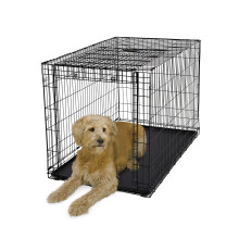 MidWest Homes for Pets Ovation Single Door Crate with Up and Away Door 48-Inch