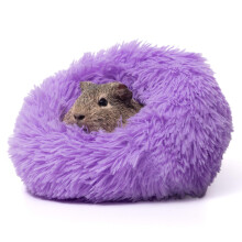 Paw ispirato Furr-O Burrowing Pet Led per cavie e altri piccoli animali (viola)