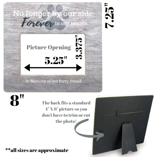 Banberry Designs Frame di immagini commemorative per animali 1