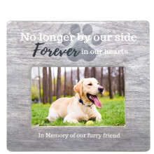 Banberry Designs Frame di immagini commemorative per animali