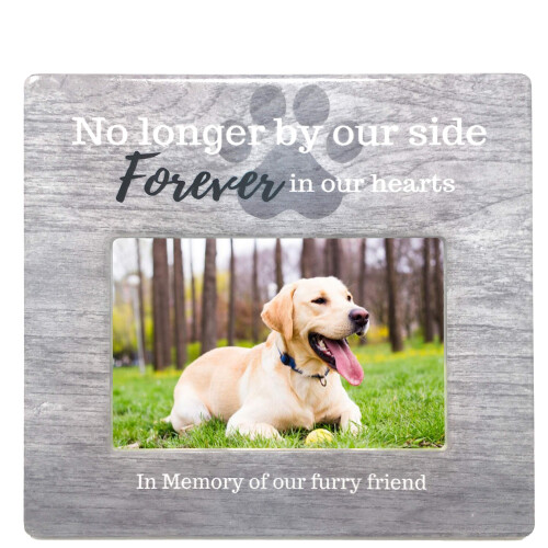 Banberry Designs Frame di immagini commemorative per animali