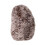Douglas Douglas Stuey Igel mit Pilz 4