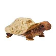 Peluche de tortuga veloz de Douglas