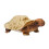 Douglas Douglas Speedy Schildkr   te Pl   schtier 1