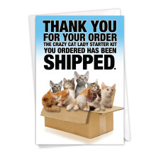 NobleWorks Funny Happy Birthday -kortti kirjekuorella - Vriks huumori Muistikorttitervehdys - Cat Lady -aloituspakkaus 8016Z