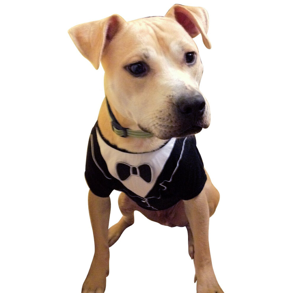 Frenchie Mini Couture Hunde-Smoking (Mittelgro )-image