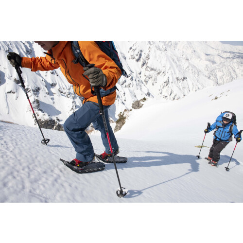 MSR Dynalock Ascent Polonais de carbone 100-120cm 2
