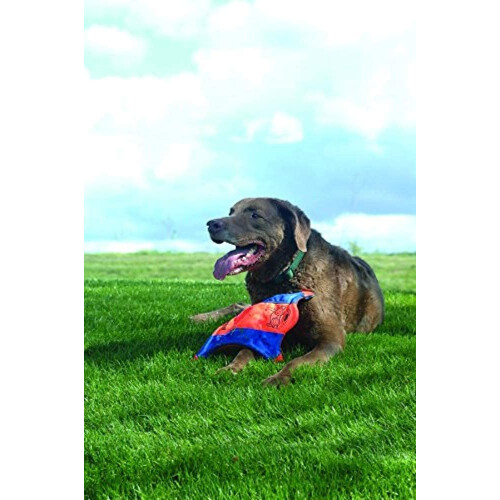 Chuckit! Small Flying Squirrel Dog Toy 1