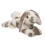 Douglas Douglas Ramsey Grau geflecktes H   schen Pl   schtier 1