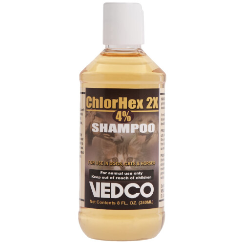 Chlorhex 2X 4% Shampoo 8 Once