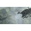 Sony The Last Guardian - PlayStation 4 3