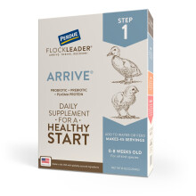 FlockLeader Arrival Tägliches probiotisches und präbiotisches Geflügelergänzungsmittel für junge Hühner im Alter von 0 bis 8 Wochen, 8 oz