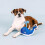 Fringe Studio Pehmoleluvalas Hello There Pet Shop Collection (314283) 3