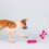 Fringe Studion pehmolelu It's My Barkday Pet Shop Collection (314226) 4