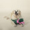 Fringe Studio Squeaker Pet Toy T-Rex (728003) 3